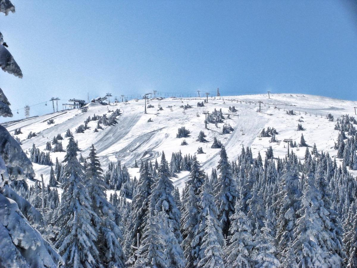 Premia Apartments Konaci Kopaonik Dış mekan fotoğraf